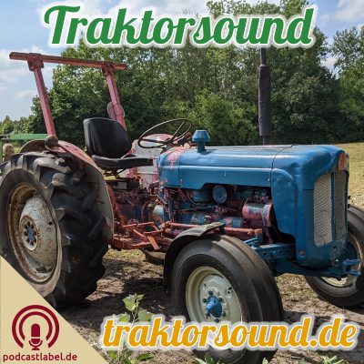 TS: #18 - Fordson Dexta